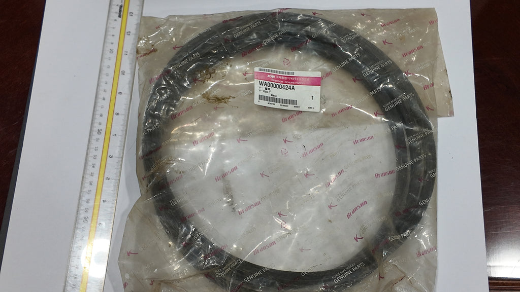 WA00000424A | Branson V-Belt